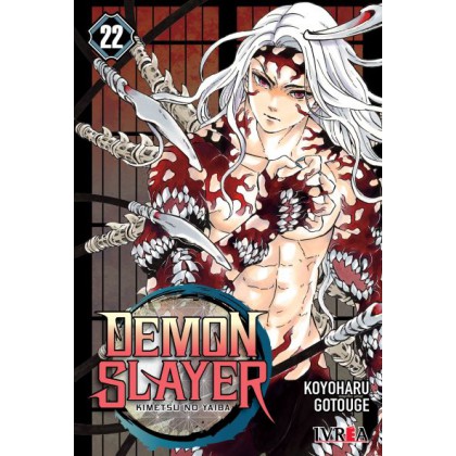 Demon Slayer Kimetsu No Yaiba 22